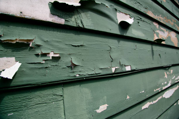 Best Demolition Debris Removal  in Utica, MI